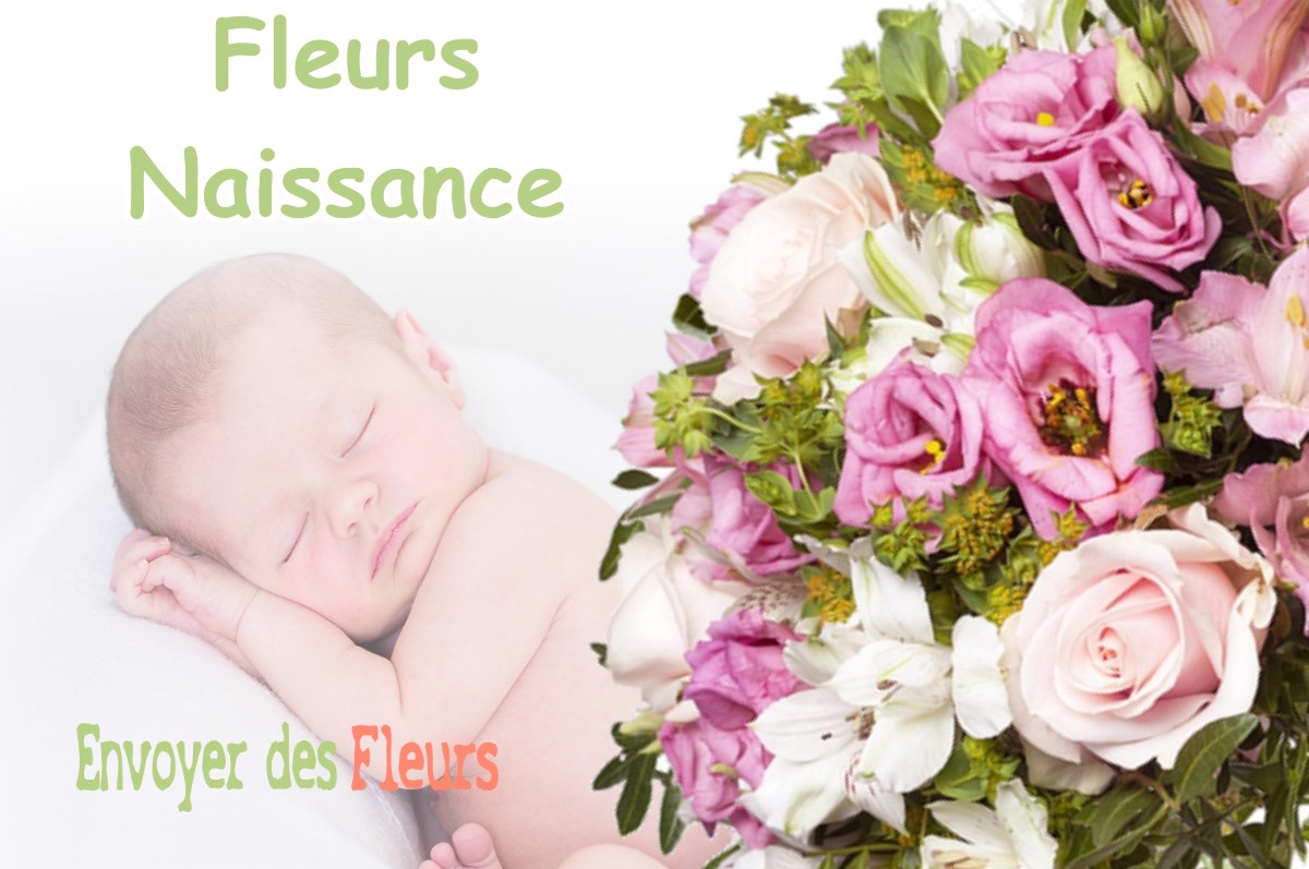 lIVRAISON FLEURS NAISSANCE à BOUDRAC